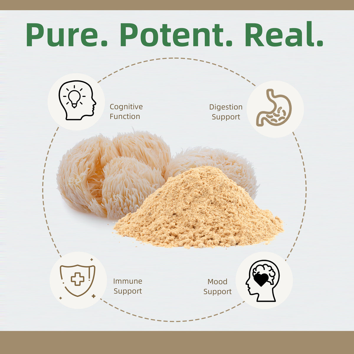 Lion's Mane Capsules, Nature's Best - 60 Veg Capsules Medicare Wellness Hub