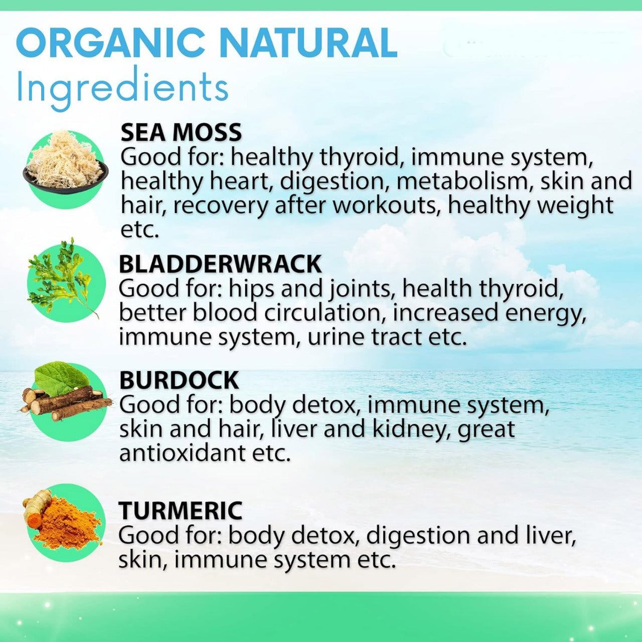 Sea Moss - Advanced Natural Formula, with Tumeric Extract 60 Capsules Medicare Wellness Hub