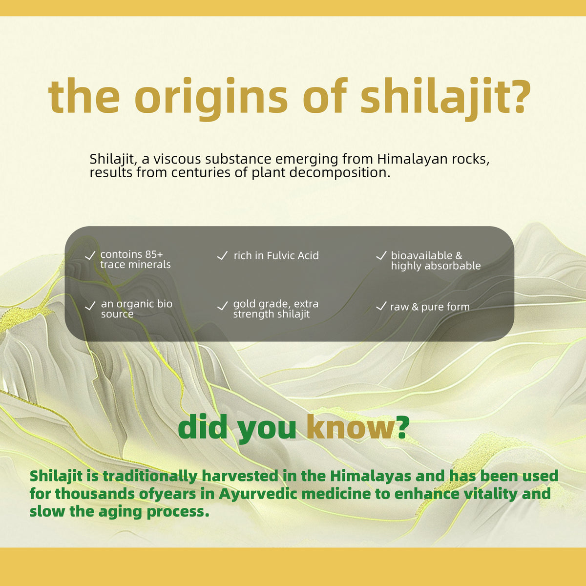 Shilajit Capsules - Nature's Best 60 Veg Capsules Medicare Wellness Hub