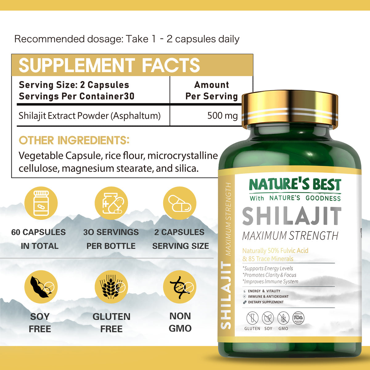 Shilajit Capsules - Nature's Best 60 Veg Capsules Medicare Wellness Hub